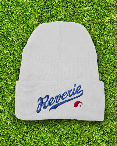 ‘Let’s Go Blue’ Beanie