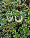 Gold Hoops in “Bebe”