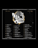 ‘24KT Palm Trees’ CD